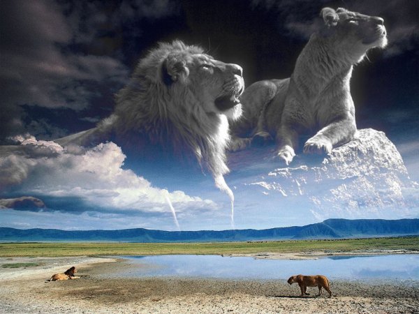 Лев в облаках