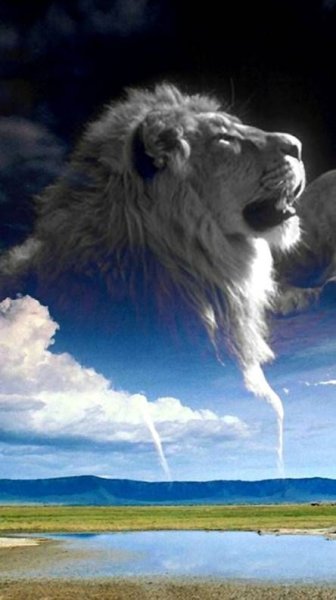 Лев на небе