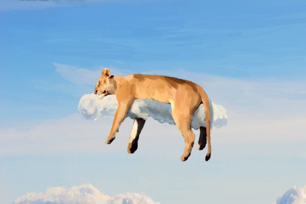 Ютака Кагайя Лев