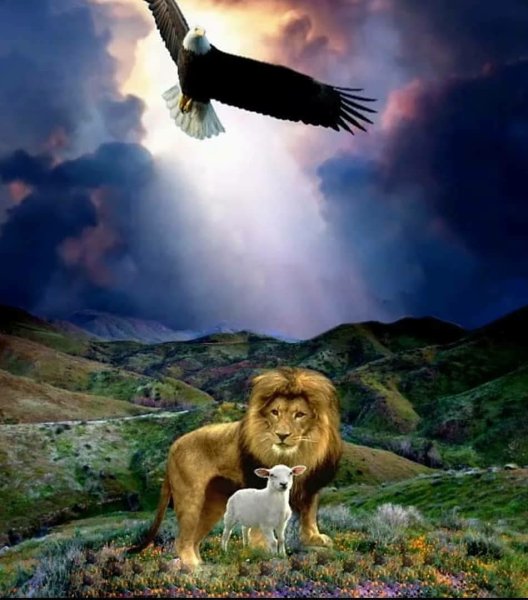 Созвездие Лев расположение звезд