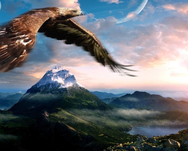 Девушка в полете