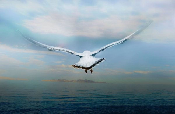 Город в облаках