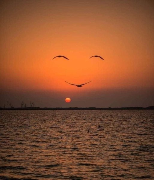 Небо голубое солнце золотое