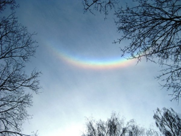 Кит в облаках