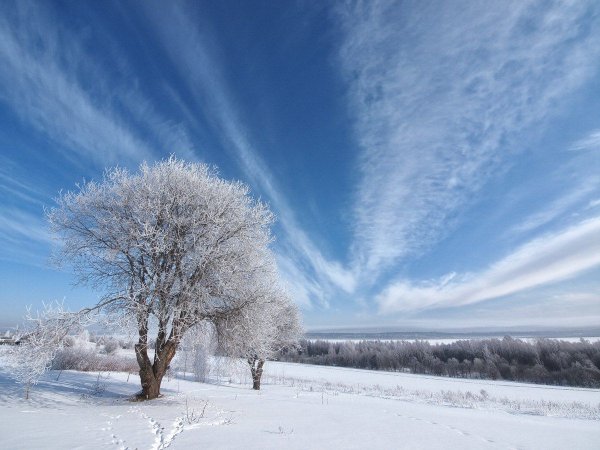 Зимнее небо
