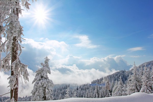 Зимнее небо