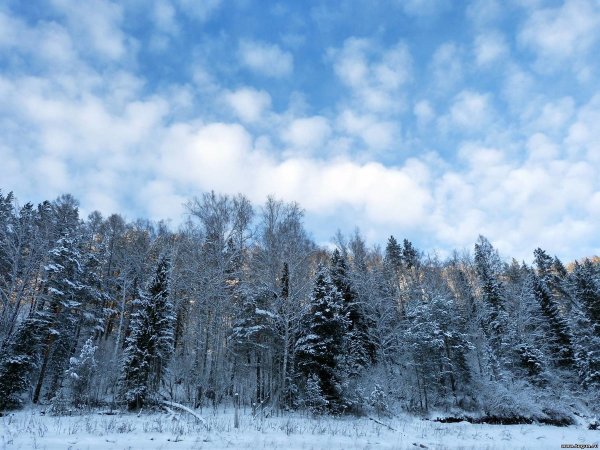 Красивое зимнее небо
