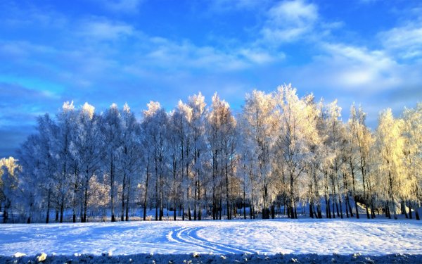 Зима в России