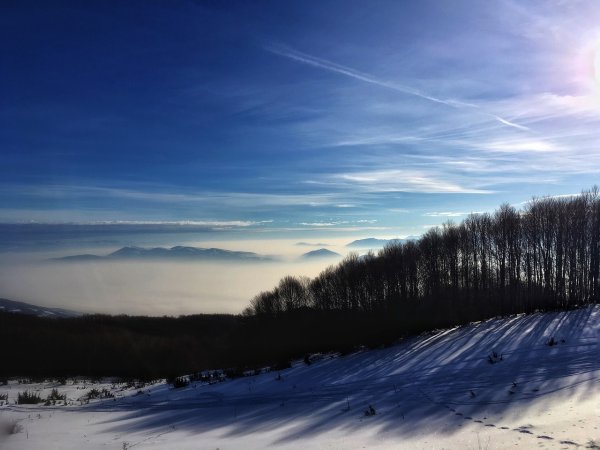 Серое зимнее небо