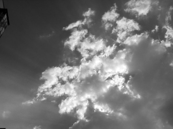 Черно белое небо