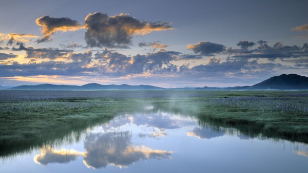 Красивая река