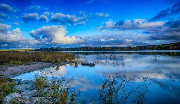Река Волга в Екатериновке