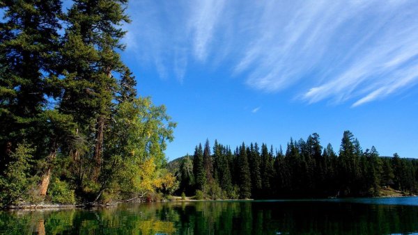 Летние Сумерки природа