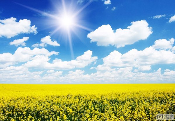 Сине желтый пейзаж