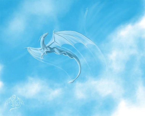 Небесный дракон