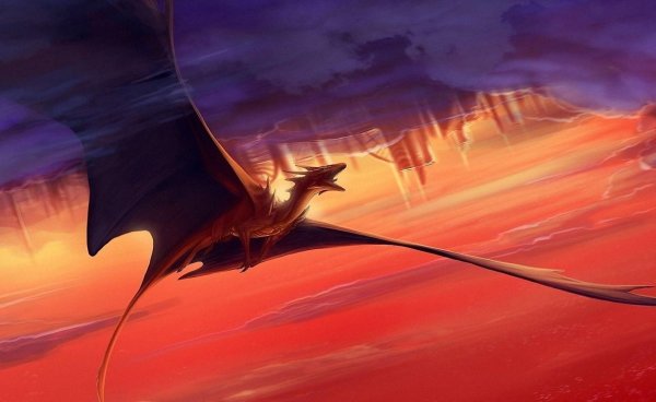 Дракон летит