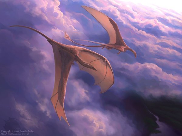 Полет дракона