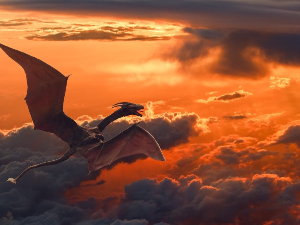 Дракон летит