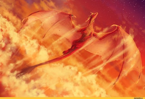 Дракон летит