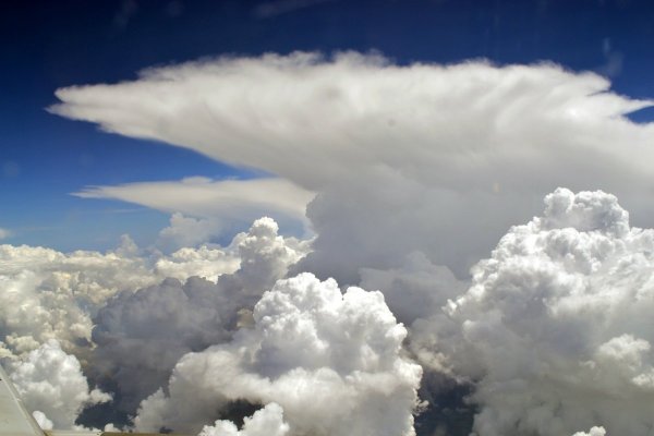 Облака в форме животных