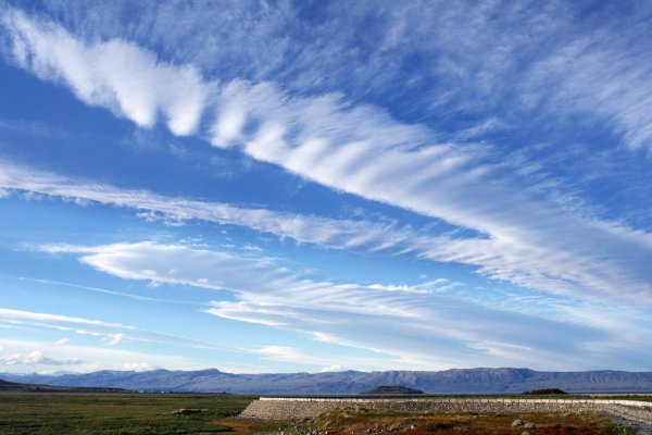 Altocumulus lenticularis