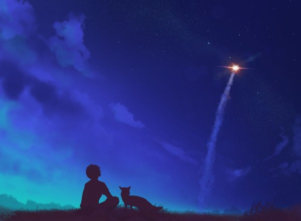 Ночное небо силуэт мальчик