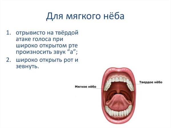 Вирусная герпесная ангина сыпь