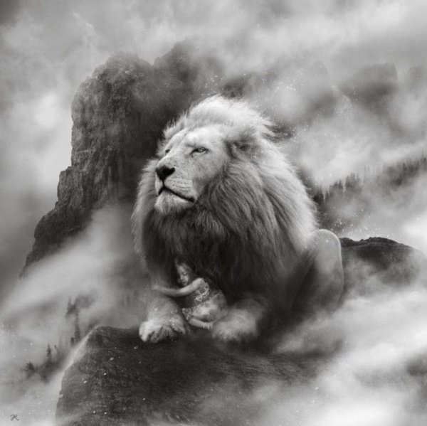 Мудрый Лев