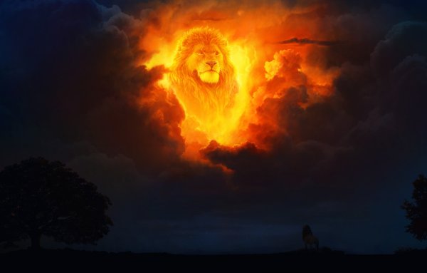 Космический Лев