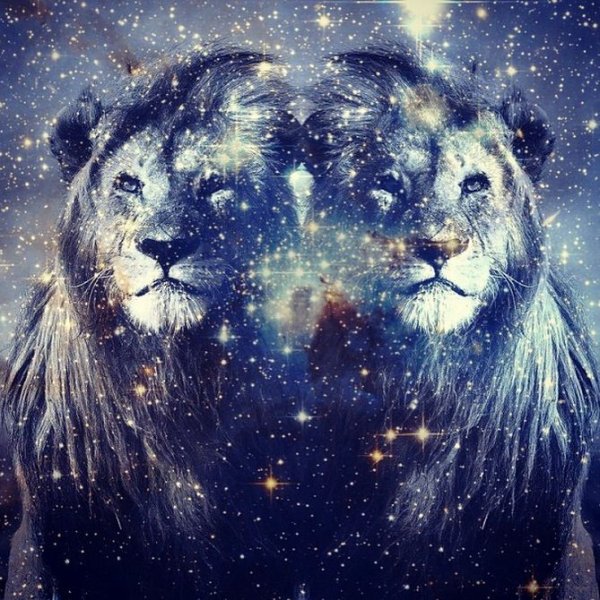 Король Лев Муфаса