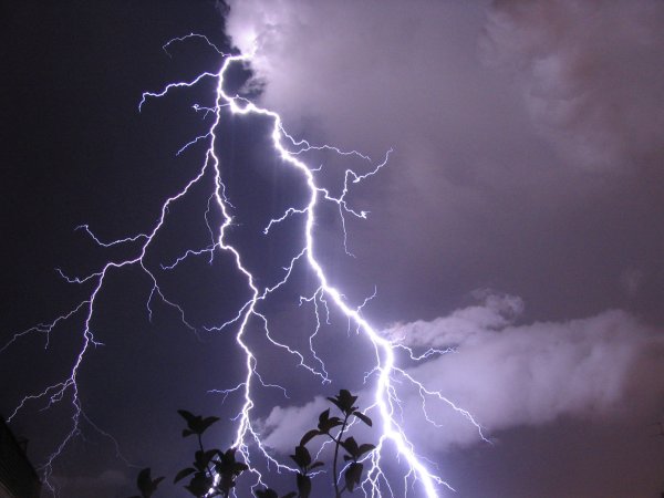 Ветвистая молния