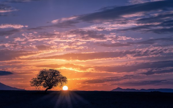 Закатное небо