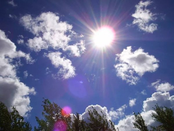 Весеннее солнце