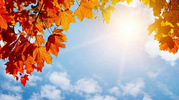 Осень голубое небо