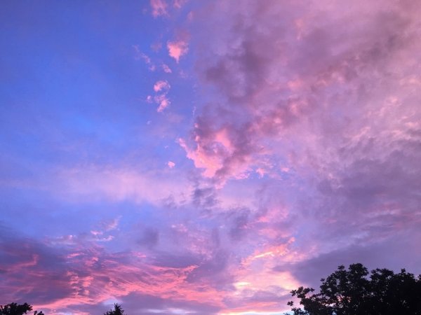 Розовое небо