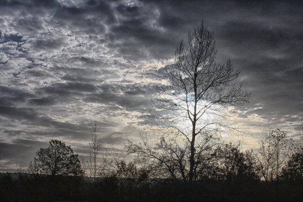 Небо осень мгла