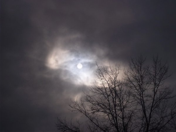 Мгла носилась