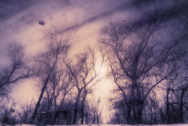 Туча мглою небо