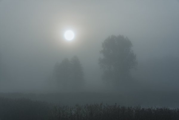 Густой туман