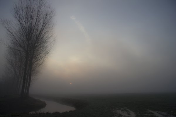 Вьюга злилась на мутном небе мгла