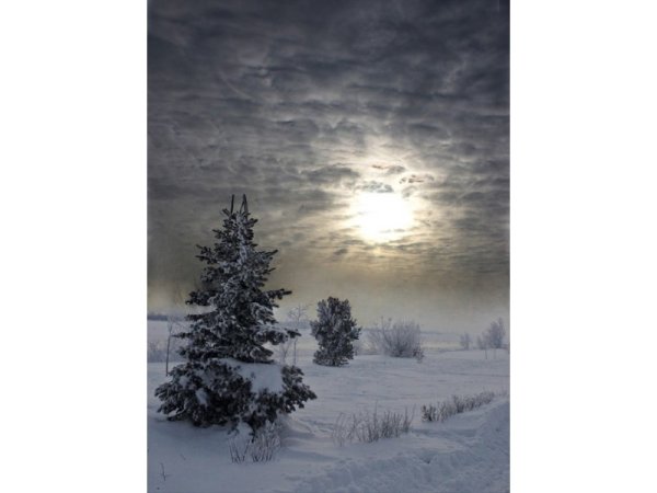 Снежная мгла