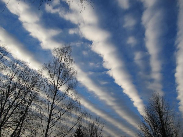 Облака ундулатус асператус