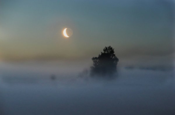 Туман река ночь