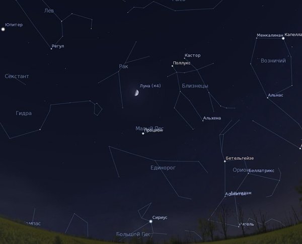 Рак«мое зодиакальное Созвездие»