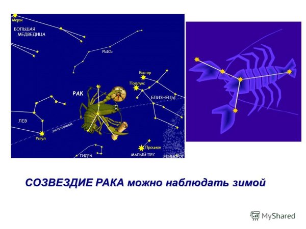 Созвездие петуха