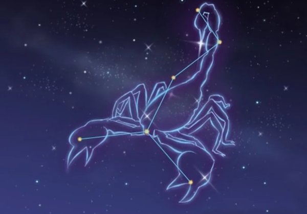Созвездия зодиака Скорпион