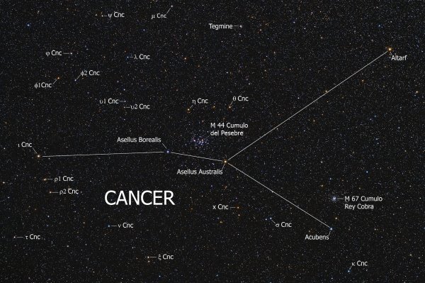 Рак«мое зодиакальное Созвездие»