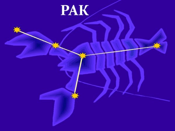 Рак«мое зодиакальное Созвездие»