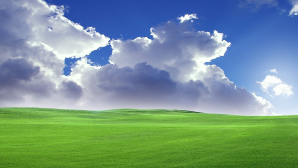 Обои Windows XP