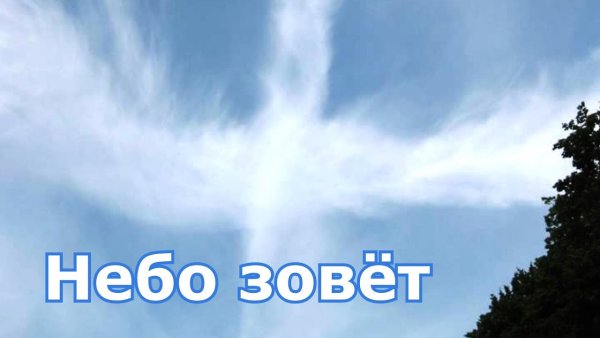 Небо зовет фильм 1959